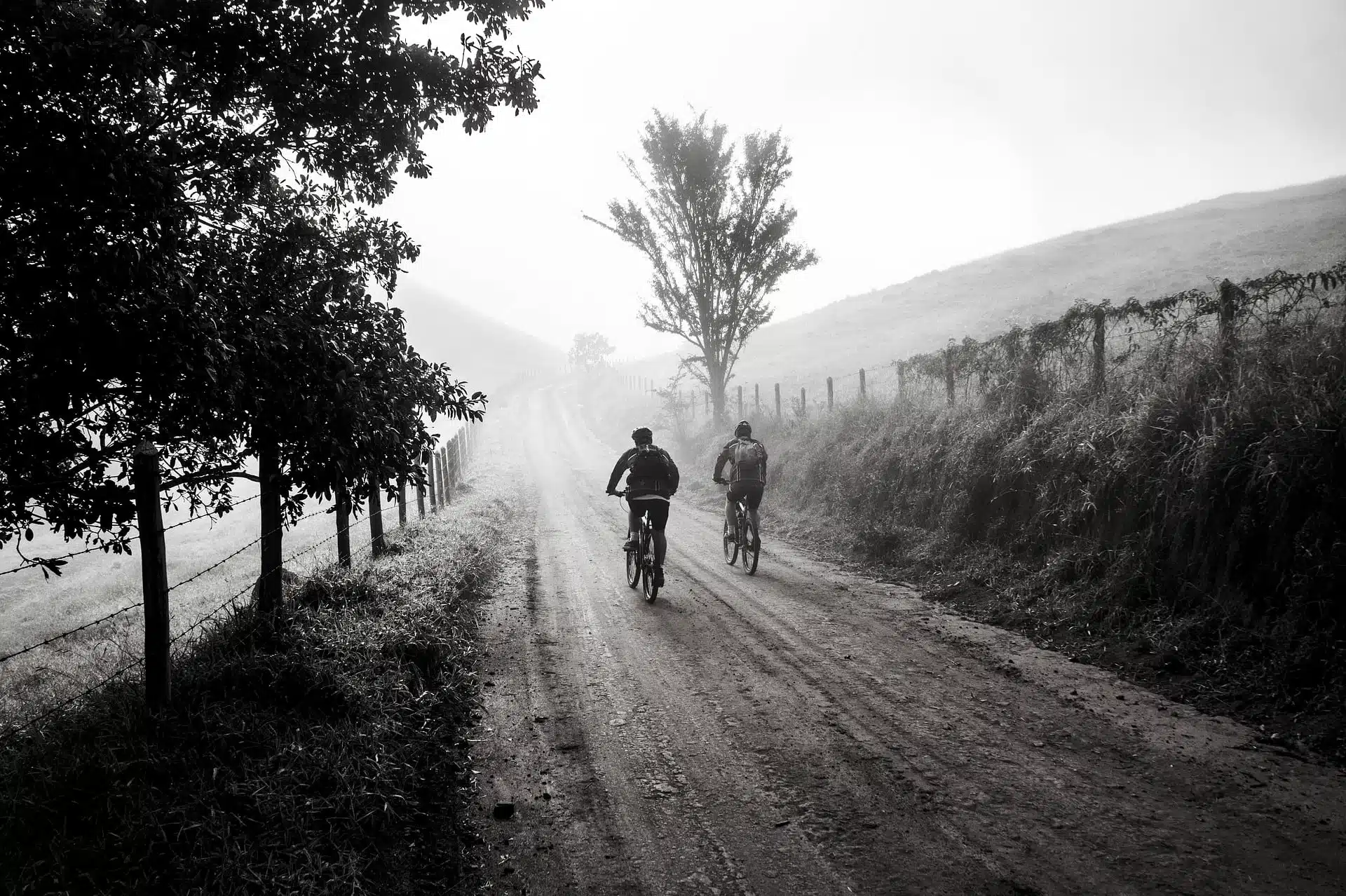 Fietsvakanties vergelijken: wat ga jij kiezen?