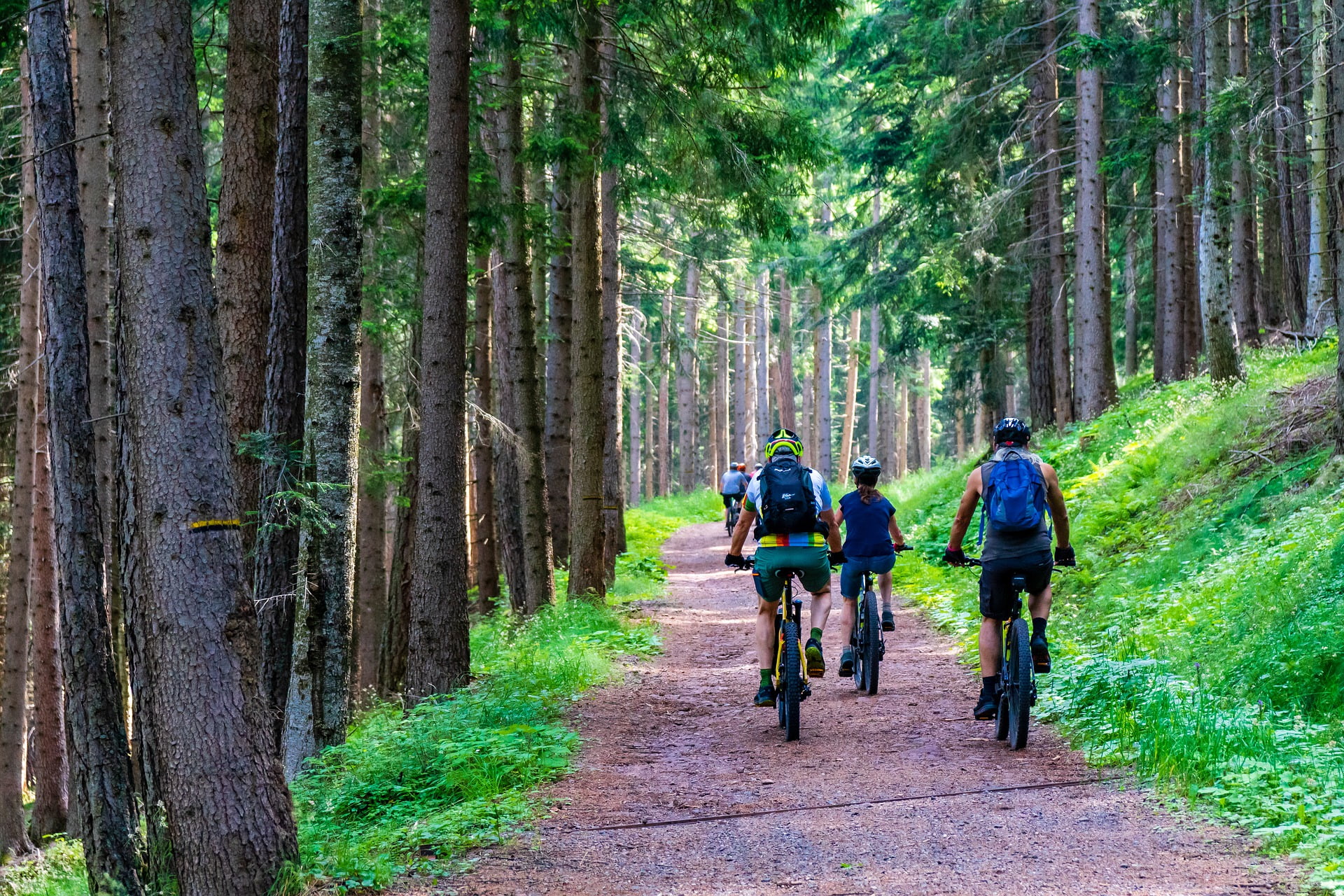 12 Verschillende mountainbike routes in NL