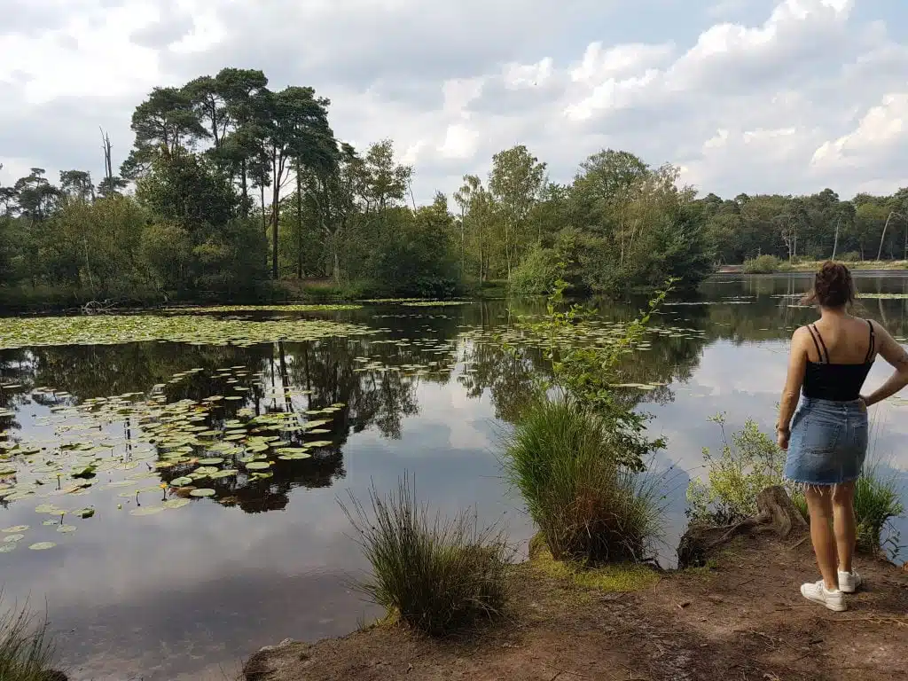 Mooiste wandelroutes Brabant