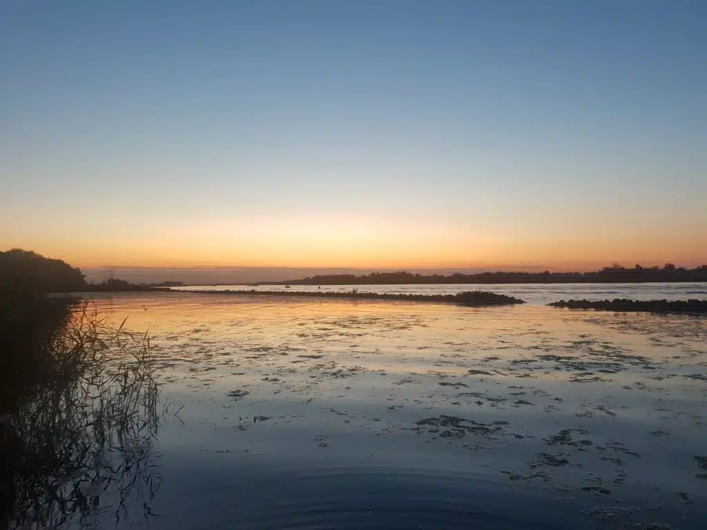 Wandelen in de Biesbosch verveelt nooit 