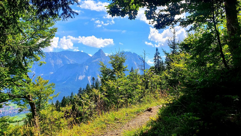 Tuftlalm wandelen Oostenrijk