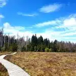 Wandelen Harz Duitsland
