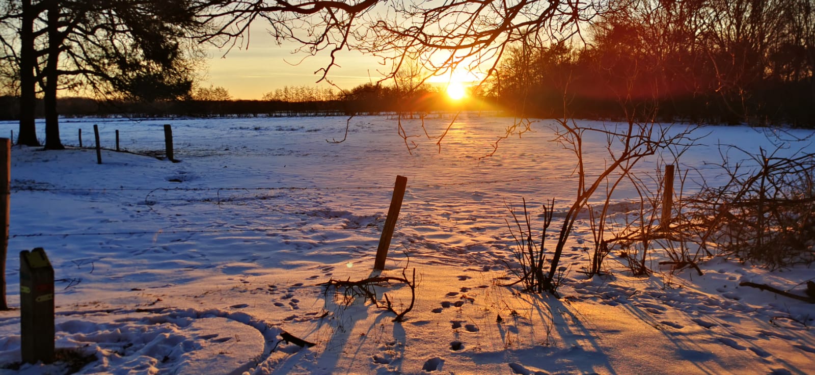 Natuurgebied Huis ter Heide de Moer: 5 wandelingen