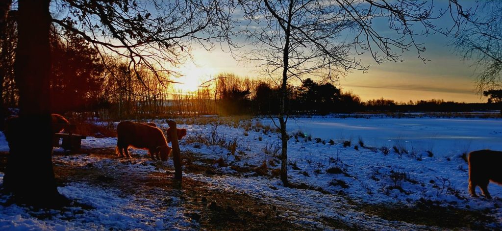 Wandelen bij Huis ter Heide, de Moer