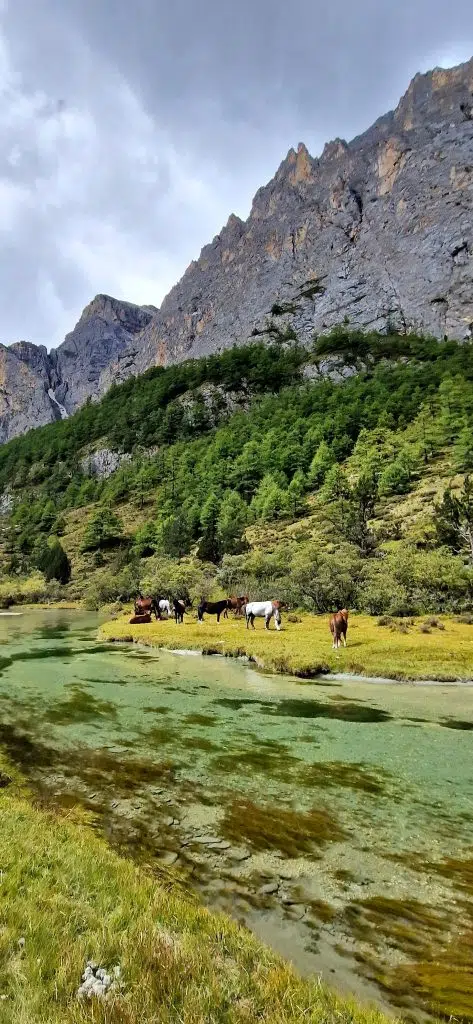 Yading hike Luorong Pasture