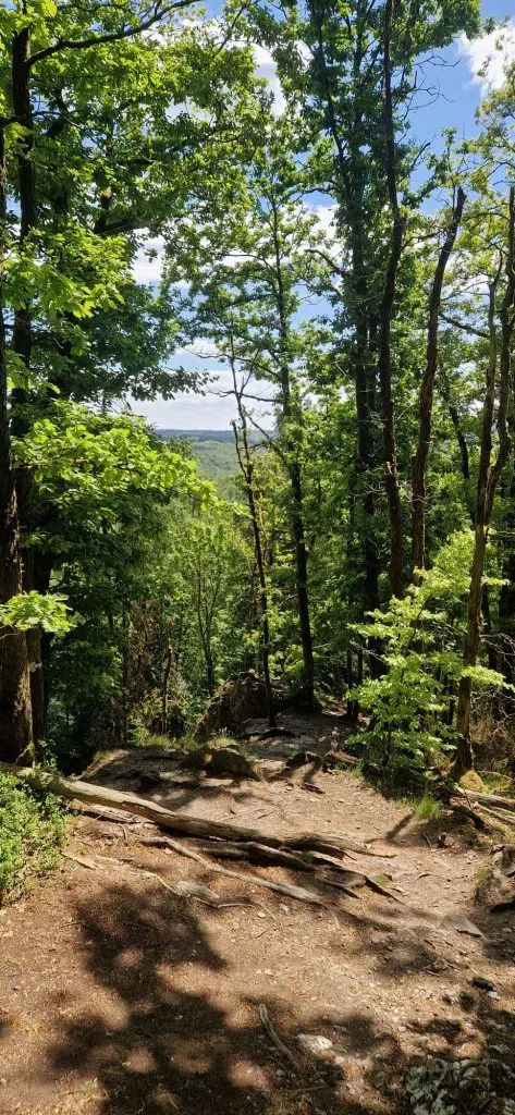 Laddertjeswandeling in de Ardennen