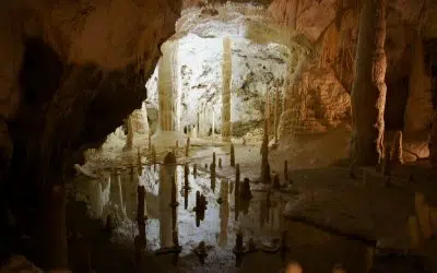 Gemeentegrot bezoeken: kies je voor rondleiding of vrij?